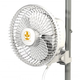 SECRET JARDIN - MONKEY FAN 16W